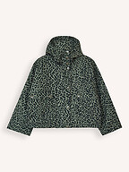 Bellerose | Jassen | Jacks