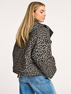 Bellerose | Jassen | Jacks