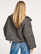 Bellerose | Jassen | Jacks