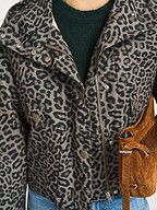 Bellerose | Jassen | Jacks