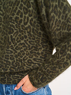 Bellerose | Sweaters and Cardigans | Jumpers