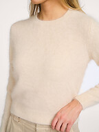 Bellerose | Truien en Vesten | Truien