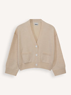 Bellerose | Truien en Vesten | Vesten