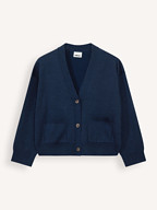 Bellerose | Truien en Vesten | Vesten
