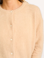 Bellerose | Truien en Vesten | Vesten