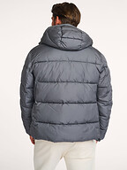 Boss | Jassen | Gewatteerde jassen