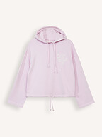 Closed | Sweaters and Cardigans | Sweaters and hoodies