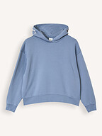 Closed | Sweaters and Cardigans | Sweaters and hoodies