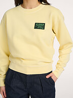 Closed | Sweaters and Cardigans | Sweaters and hoodies