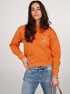 Closed | Truien en Vesten | Sweaters en hoodies