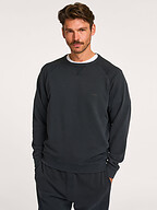 Closed | Truien en Vesten | Sweaters en hoodies