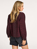 Co'Couture | Tops and Blouses | Blouses