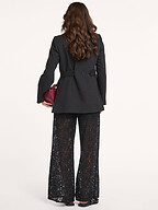 Co'Couture | Pants and Jumpsuits | Trousers