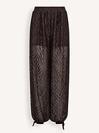 Co'Couture | Pants and Jumpsuits | Trousers