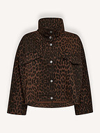 Co'Couture | Blazers and Jackets | Jackets
