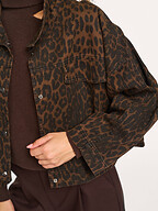 Co'Couture | Blazers and Jackets | Jackets