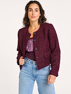 Co'Couture | Blazers en Jasjes | Jasjes