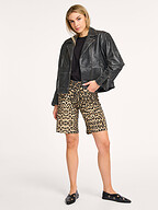 Co'Couture | Jeans | Shorts