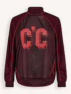 Co'Couture | Tops and Blouses | Tops