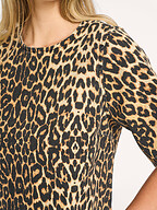 Co'Couture | Tops and Blouses | Tops