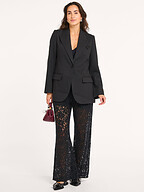 Co'Couture | Pants and Jumpsuits | Trousers