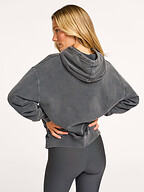 Colorful Standard | Truien en Vesten | Sweaters en hoodies