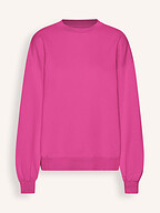 Colorful Standard | Truien en Vesten | Sweaters en hoodies