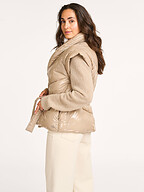 Dante 6 | Jassen | Bodywarmer