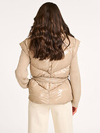 Dante 6 | Jassen | Bodywarmer