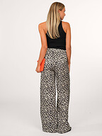 Dante 6 | Tops en Blouses | Tanktops