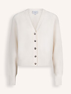 Dante 6 | Sweaters and Cardigans | Cardigans