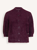 Dante 6 | Truien en Vesten | Vesten