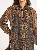 Dante 6 | Dresses and Tunics | Dresses