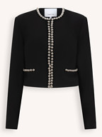 Dante 6 | Blazers en Jasjes | Jasjes