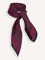 Dante 6 | Accessories | Scarves