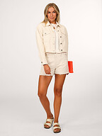 Dante 6 | Jeans | Shorts