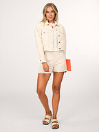 Dante 6 | Jeans | Shorts