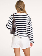 Dante 6 | Jeans | Shorts