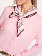 Dante 6 | Accessories | Scarves