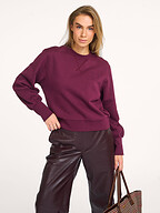 Dante 6 | Truien en Vesten | Sweaters en hoodies