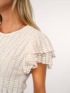 Dante 6 | Tops en Blouses | Tops