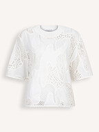Dante 6 | Tops and Blouses | Tops