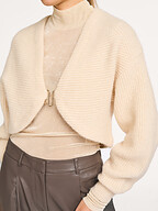 Dante 6 | Truien en Vesten | Vesten