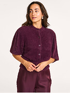 Dante 6 | Truien en Vesten | Vesten