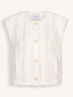 Dante 6 | Blazers en Jasjes | Gilets