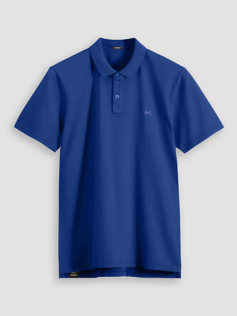 Denham top polo sale