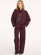 Drykorn | Pants and Jumpsuits | Trousers