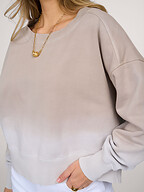 Drykorn | Sweaters and Cardigans | Sweaters and hoodies