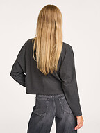 Drykorn | Truien en Vesten | Coltruien