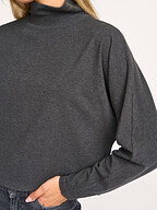 Drykorn | Truien en Vesten | Coltruien